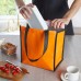 Bolsa Térmica 12 Litros Bolsa Térmica 12 Litros