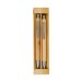 Kit Ecológico Caneta e Lapiseira Bambu Kit Ecológico Caneta e Lapiseira Bambu